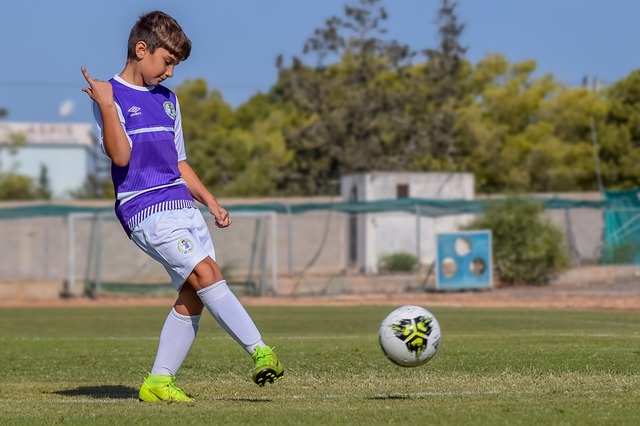 和谈的道路 和谈的道路