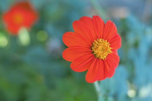 正在让巴萨 正在让巴萨