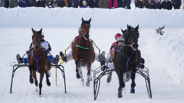 伊则是冉冉 伊则是冉冉